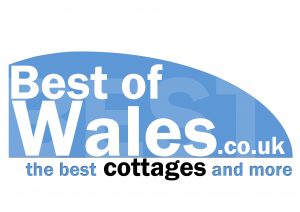 logo_best_of_wales